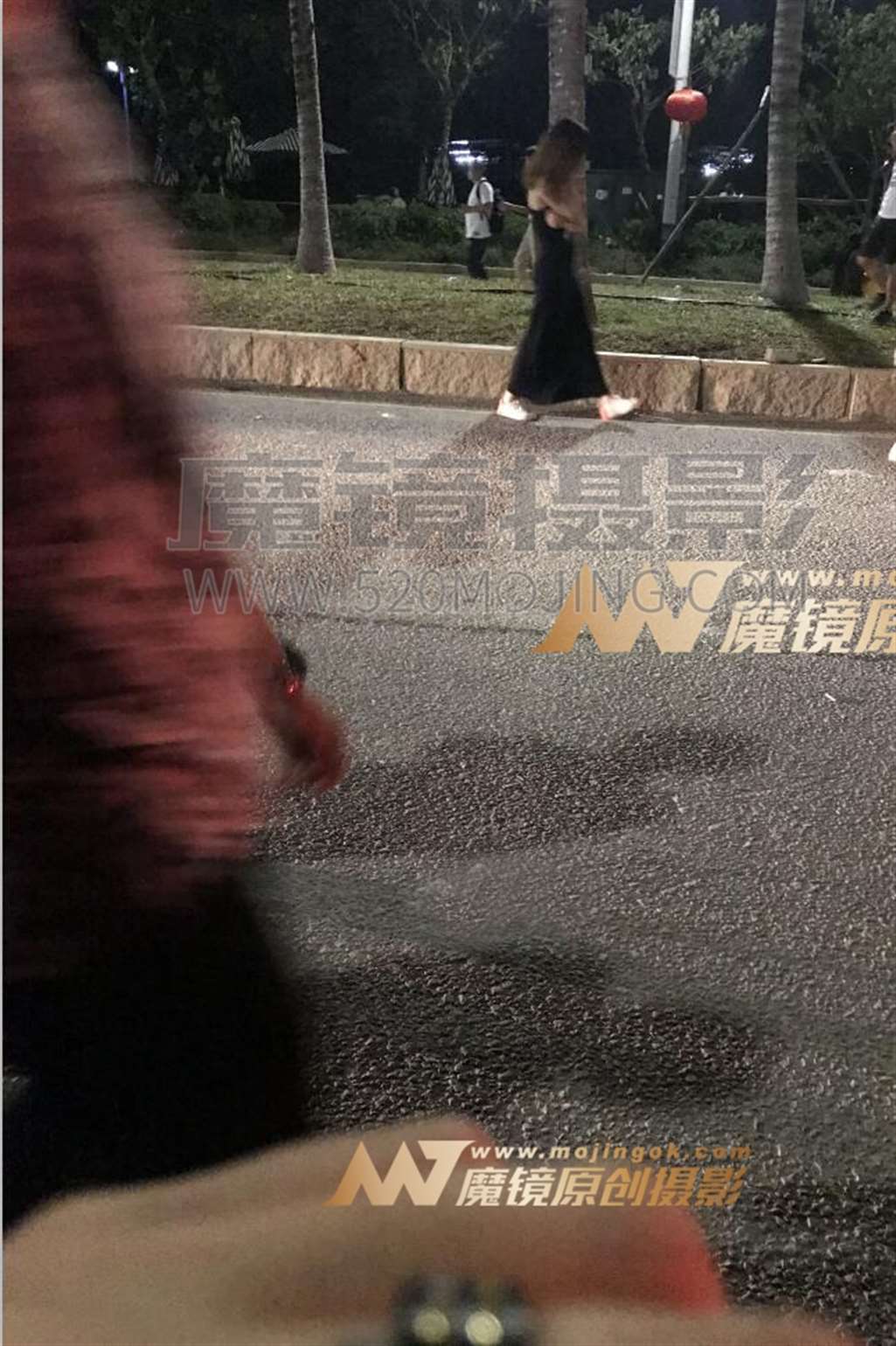 图片[4]-【一只傻麋鹿赛帖】昙花一现，宛如一梦-街拍流行馆
