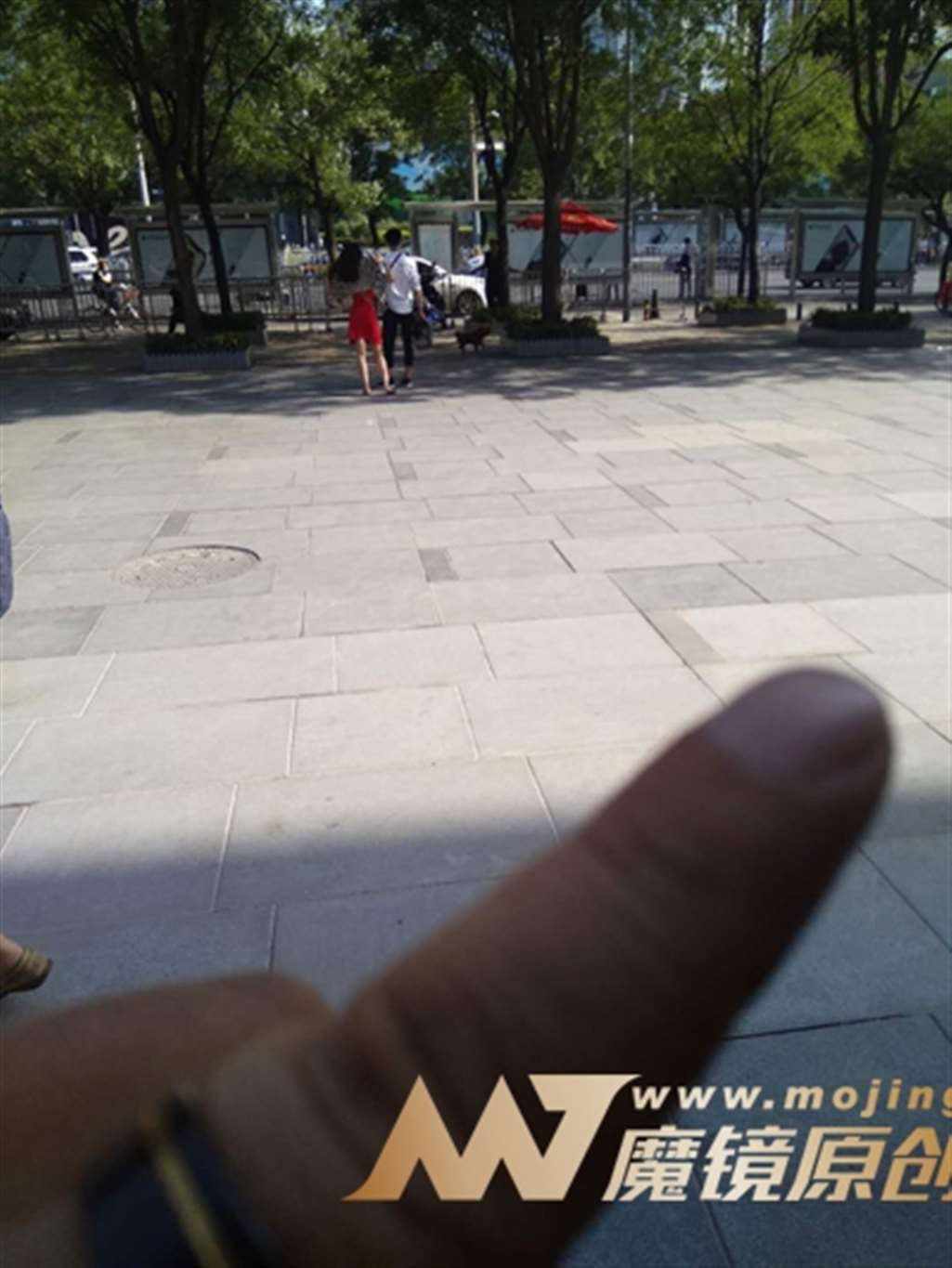 图片[3]-【咔喳赛贴】爱狗妹妹-街拍流行馆
